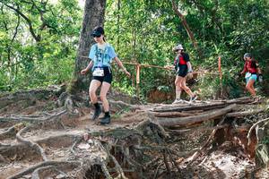 BIB: 
                            <button type="button" onclick="openModal(27719597)" class="btn btn-primary btn-sm float-right btn-popup" data-toggle="modal" data-target=".modal-high-quality">
                        <i class="fas fa-shopping-cart"></i> Add to Cart
                    </button>
                                            <button type="button" onclick="isThisMe(27719597, true)" class="btn btn-success btn-sm float-right btn-popup btn-isme hidden" data-toggle="tooltip" data-placement="bottom" title="นี่คือรูปของคุณใช่ไหม คลิกที่นี่เพื่อเอาเข้าอัลบั้ม">
                        <i class="fas fa-plus"></i> Add to album
                    </button>
                    <button type="button" onclick="isThisMe(27719597, false)" class="btn btn-warning btn-sm float-right btn-popup btn-isnotme hidden">
                        <i class="fas fa-ban"></i> Remove from album
                    </button>